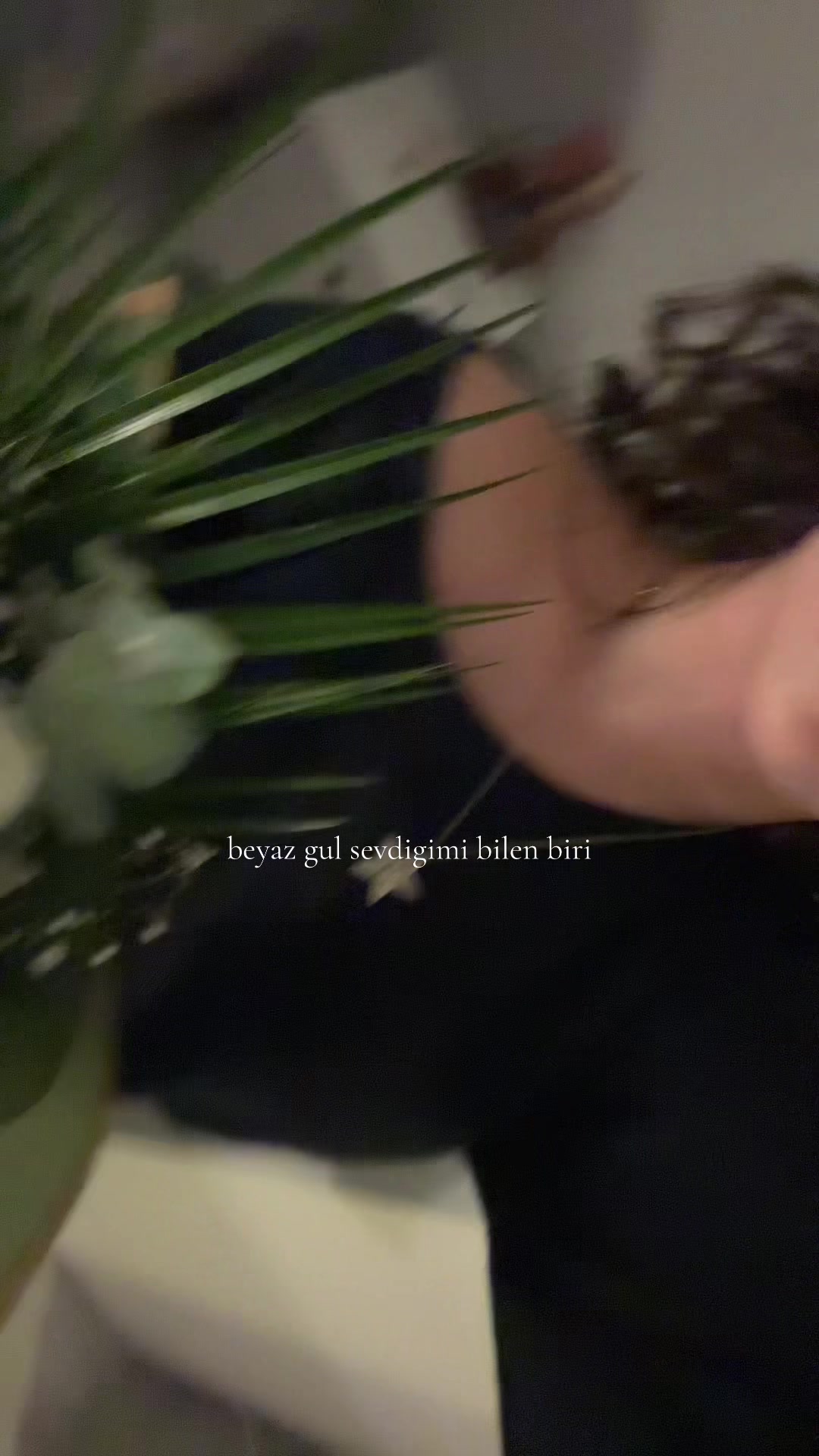 @𝐞𝐬𝐢𝐥𝐚