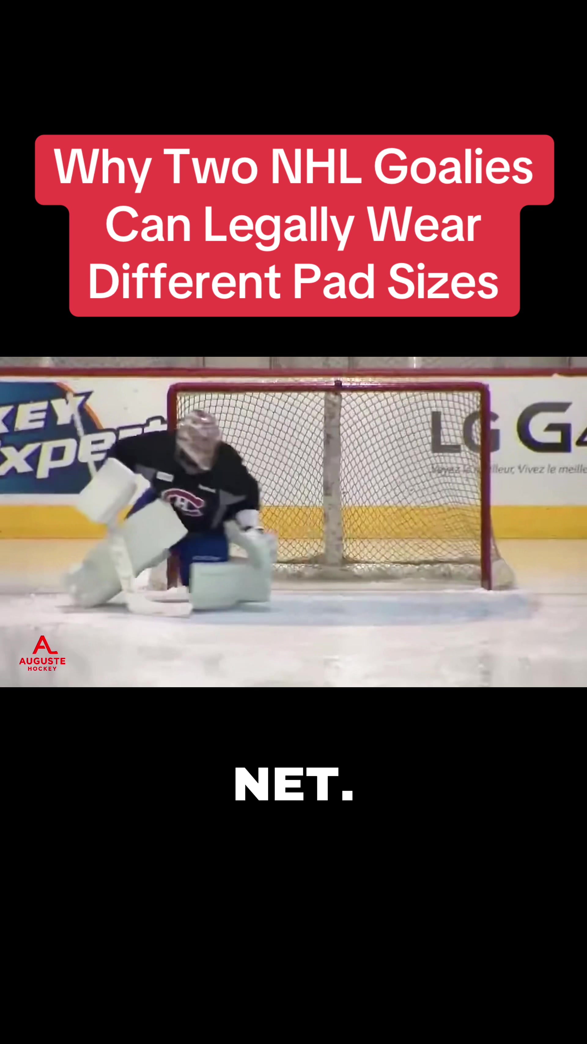 @Auguste Hockey | NHL Insider
