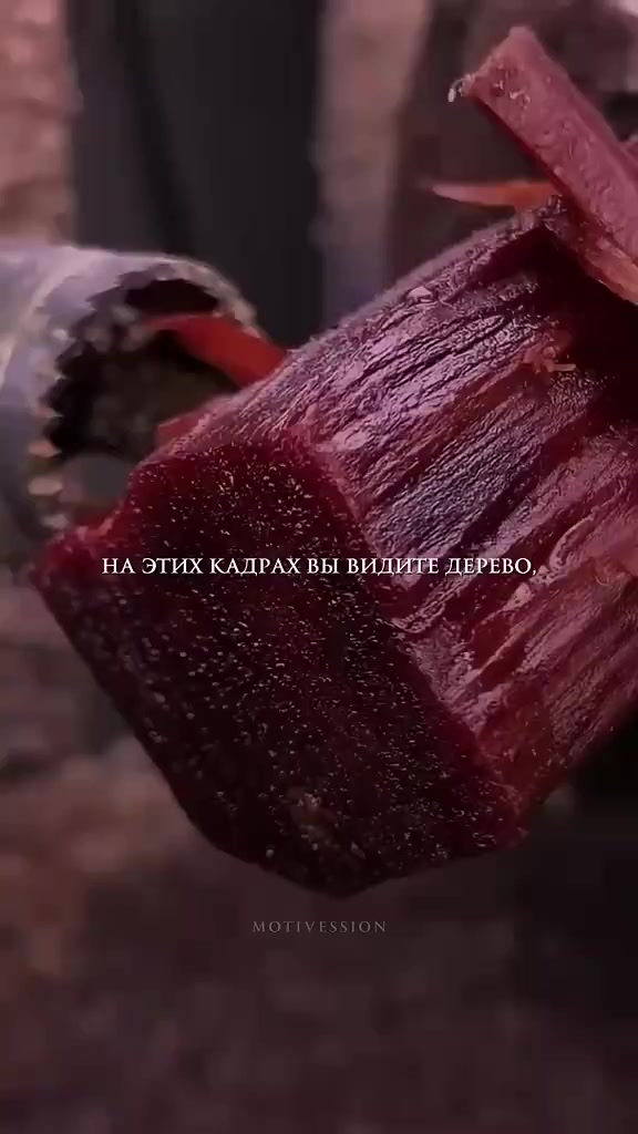 @ДАТО