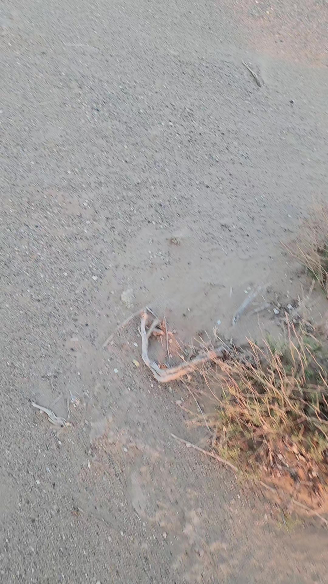 @عبدالله الشراري