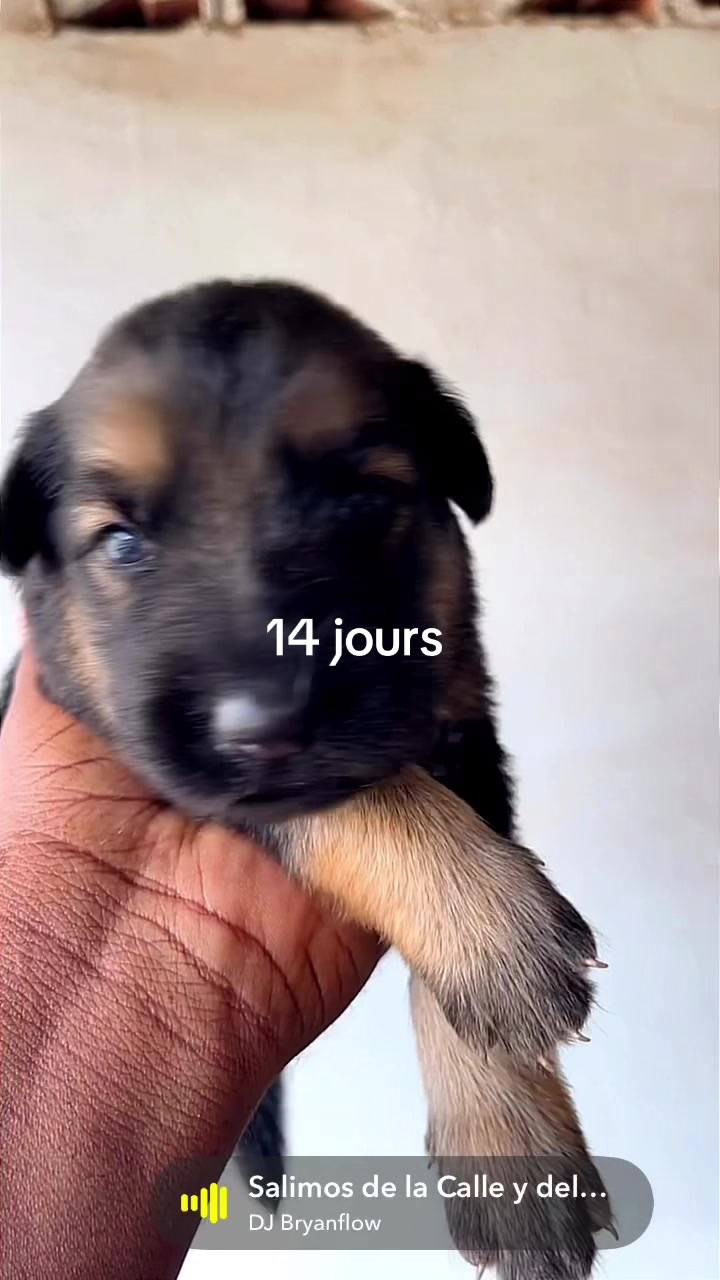 @Skiss herve