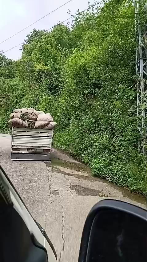 @KorKut_28