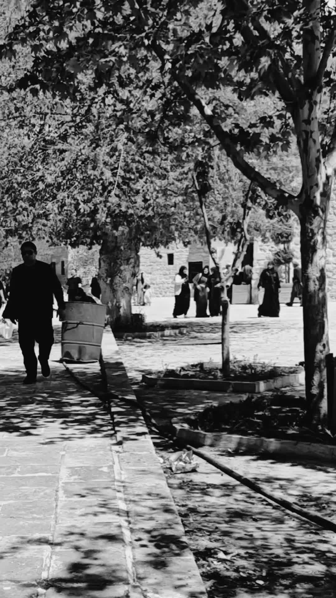 @👑🌟𝔹𝔸𝔹𝔸ℂ𝔸ℕ🌟👑