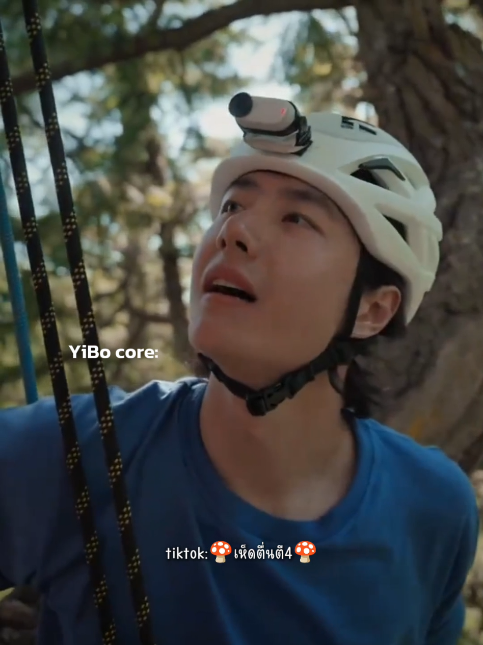 @🍄เห็ดตื่นตี4🍄