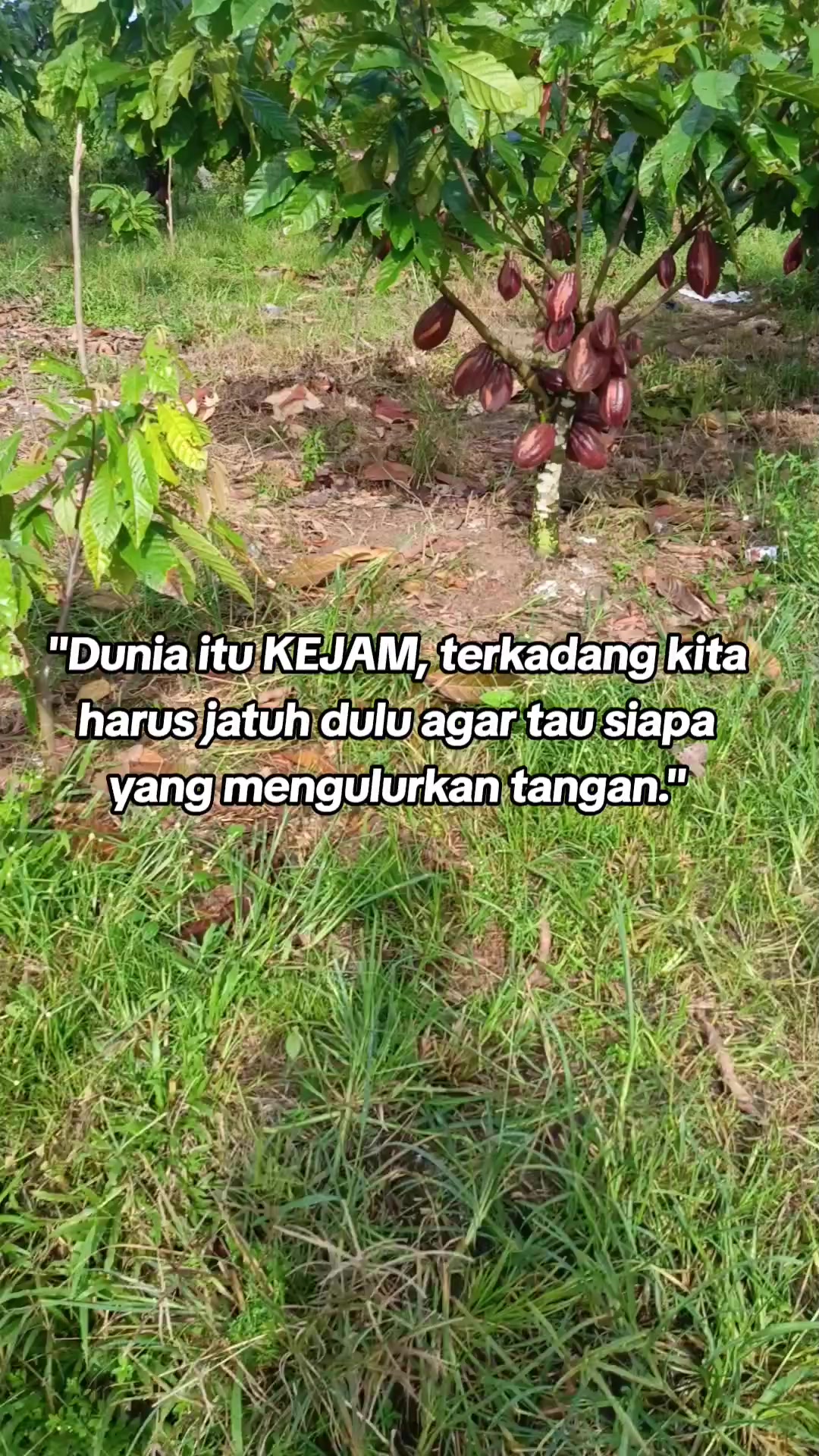 @INISIAL W