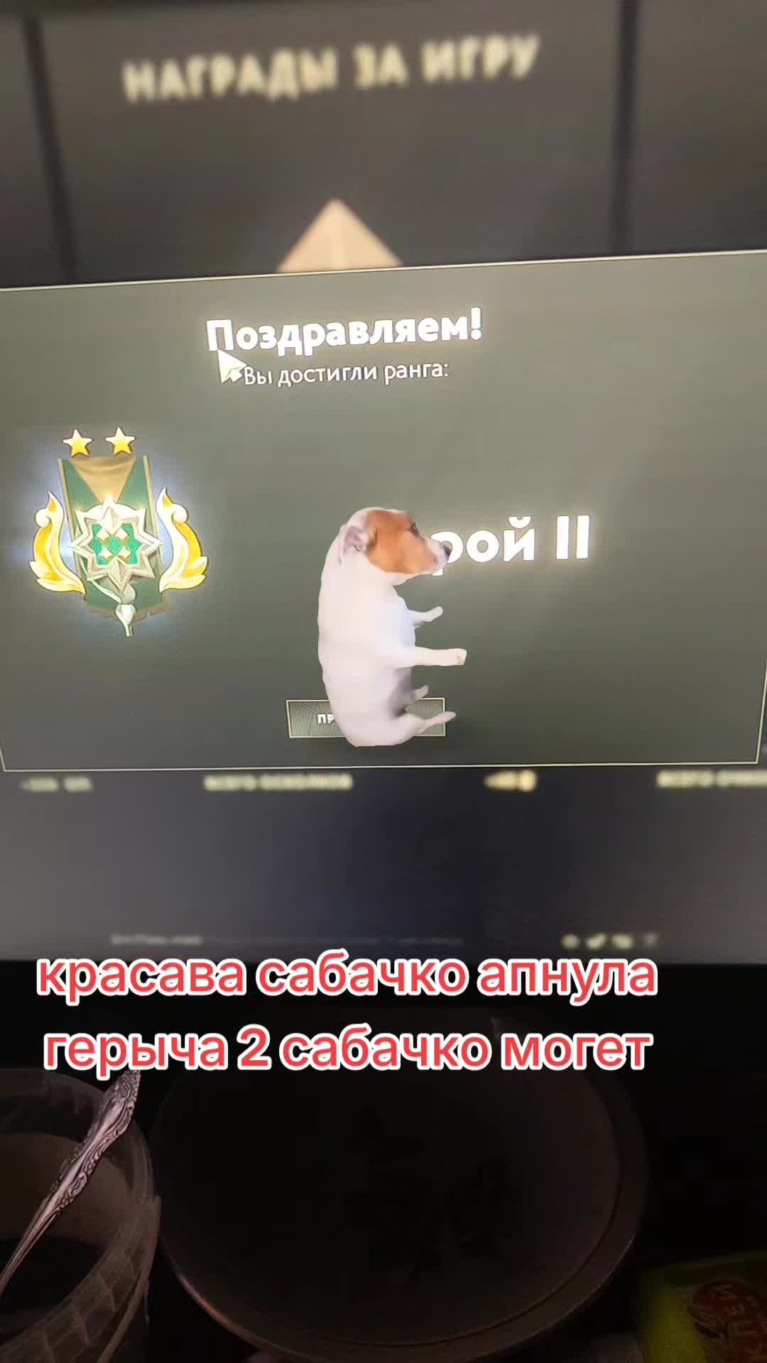 @790rus!
