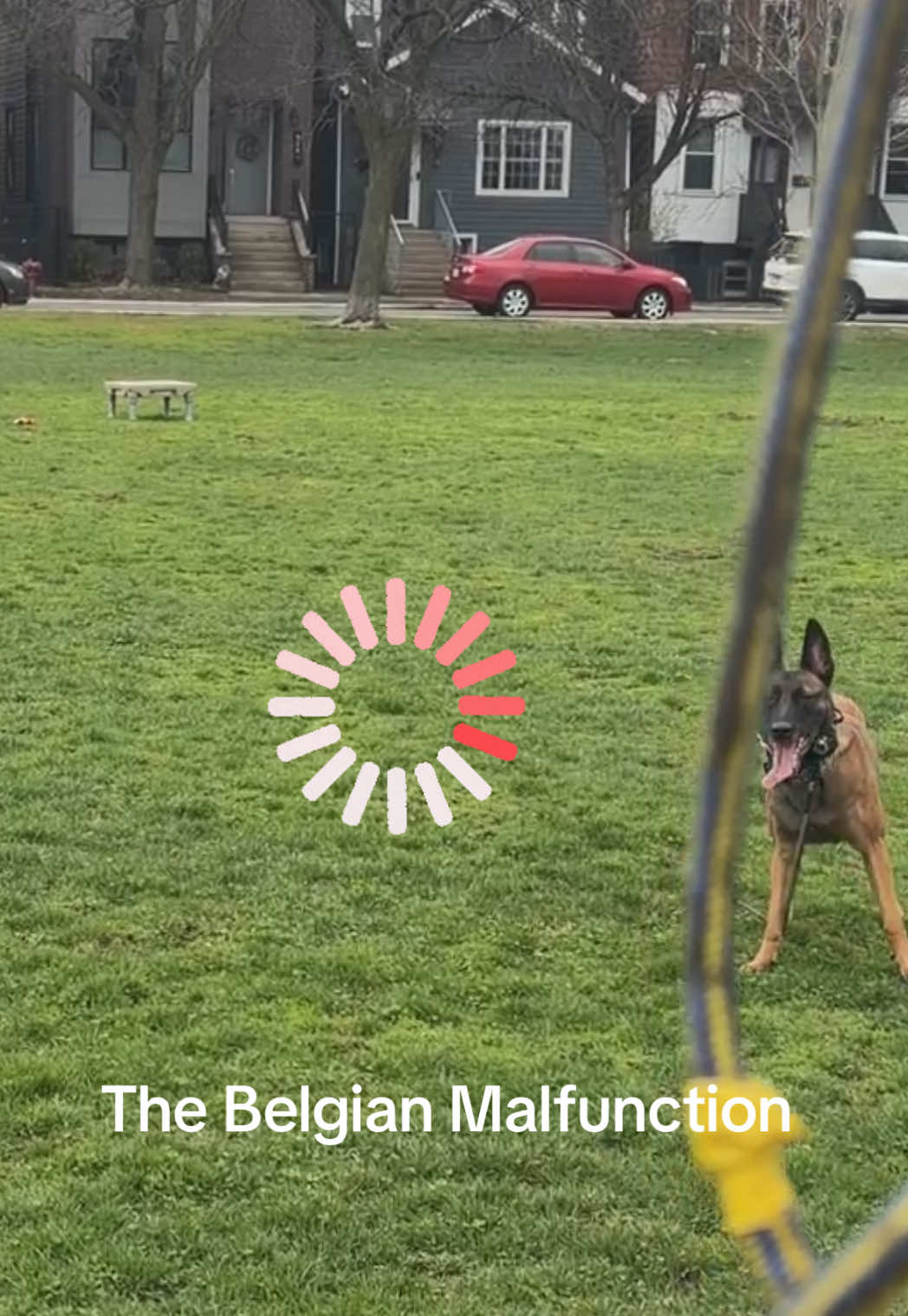 @dogstrainjen