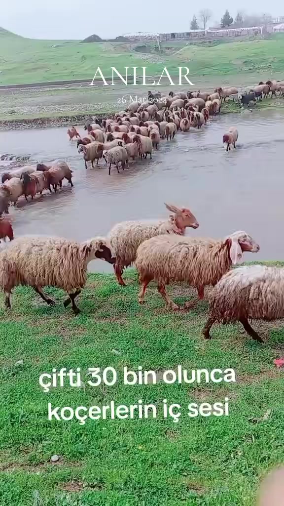 @Eyyüp Demir 72