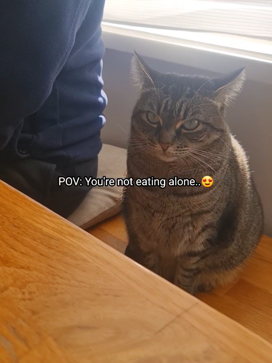 @PhoebeinWonder