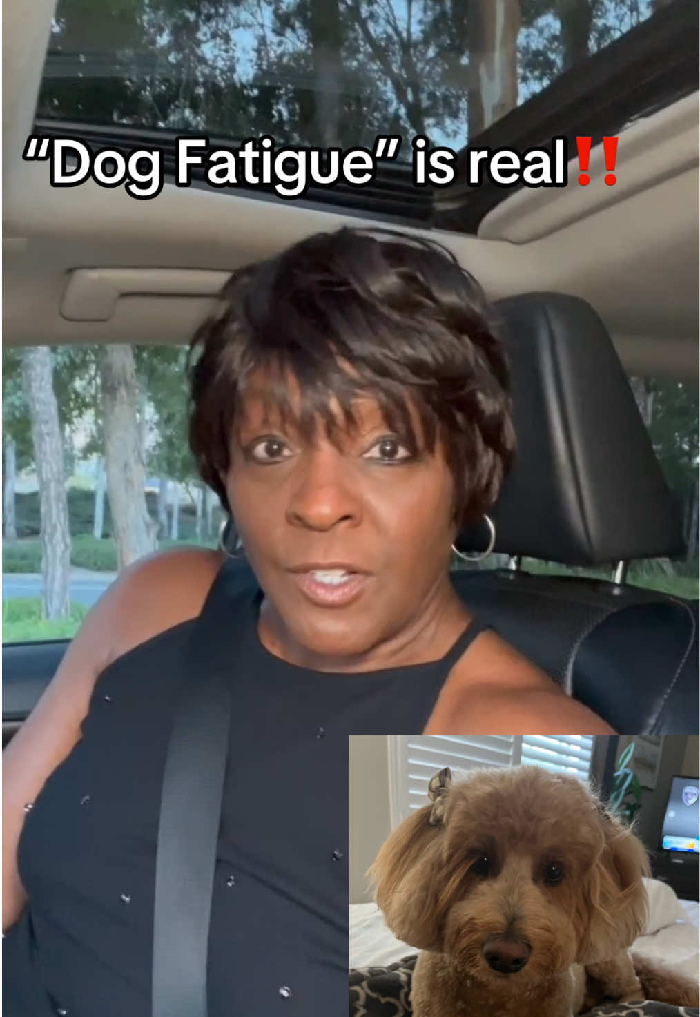 @Tall_lioness64♌️