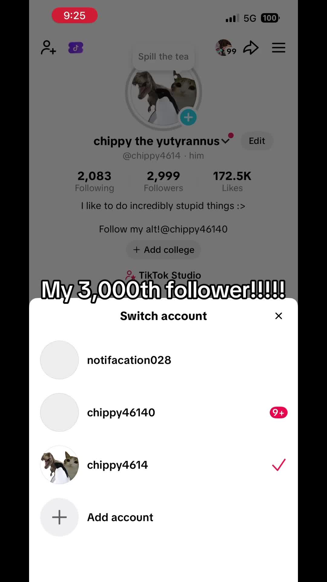 @chippy the yutyrannus