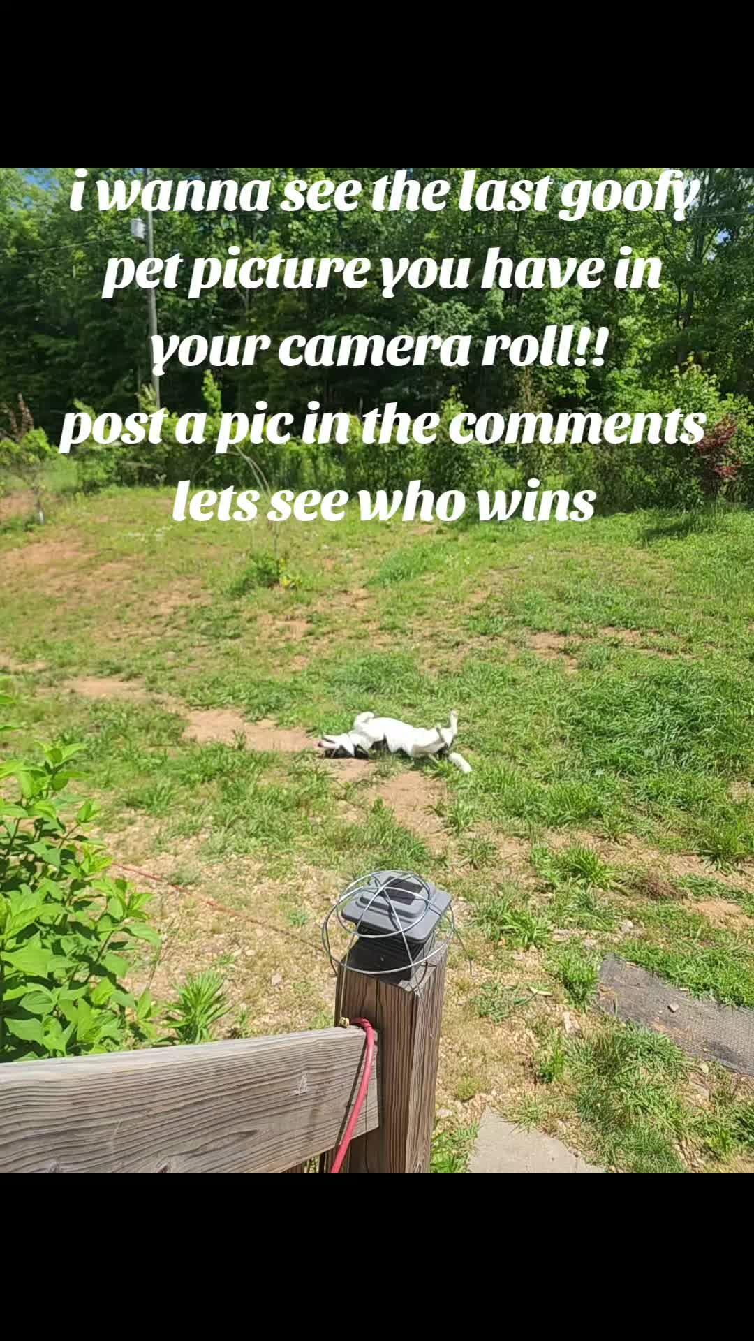 @titobandito002