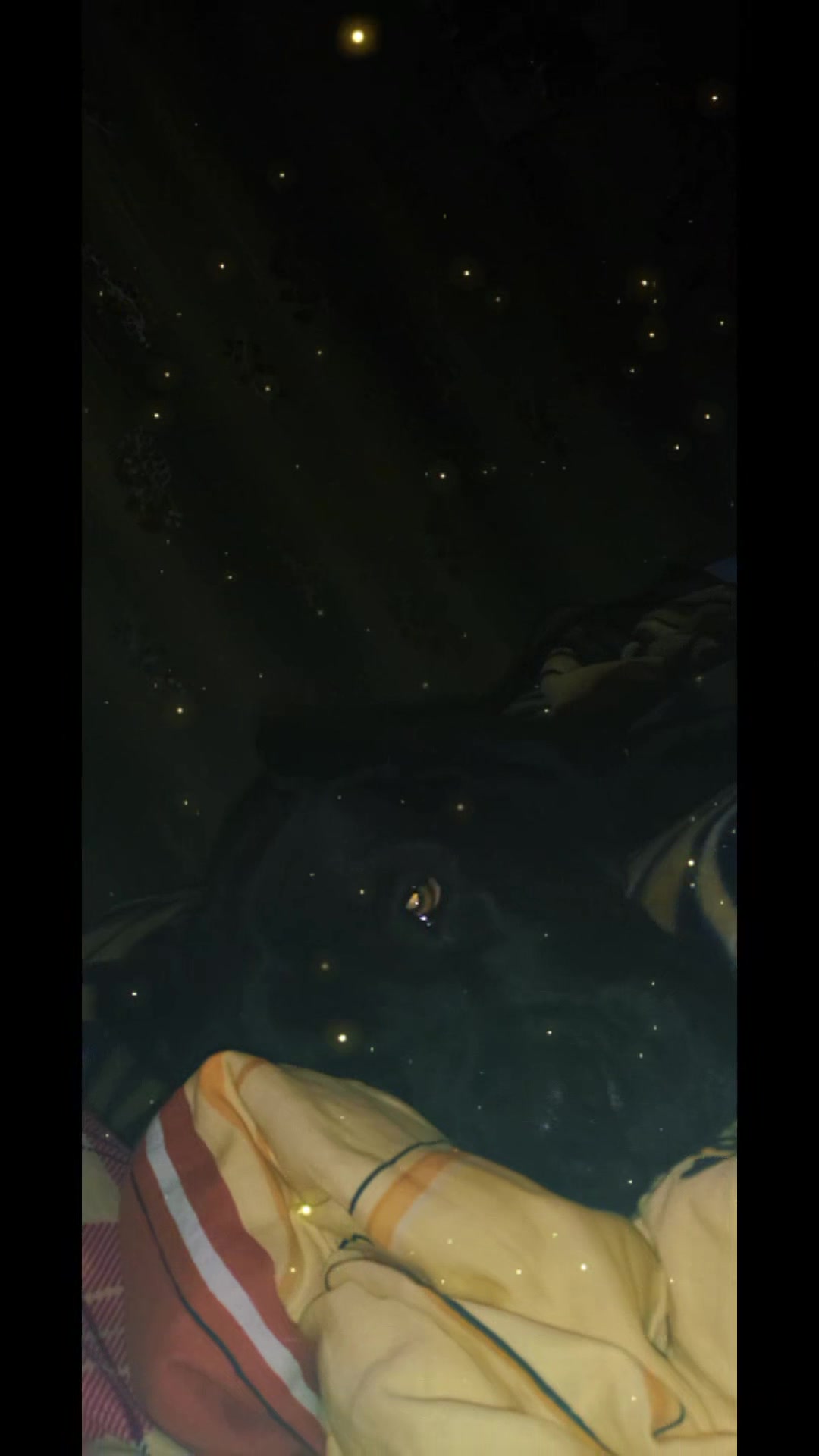 @ts
