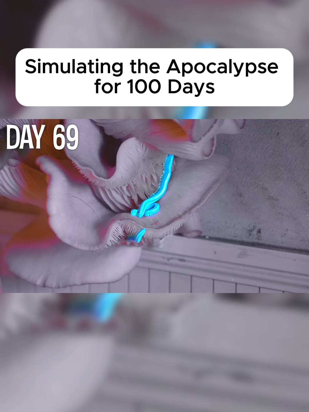 @user600884857131