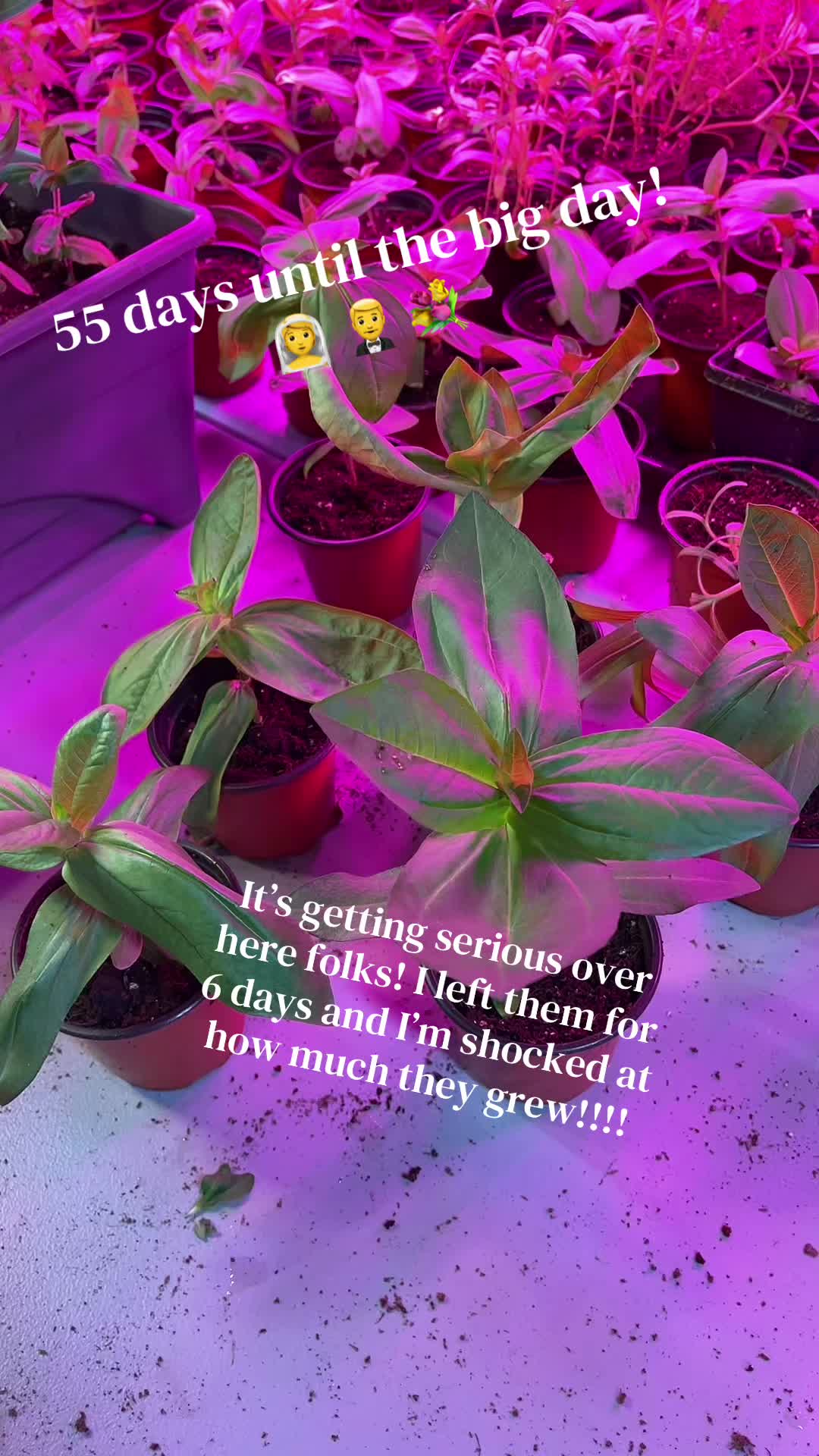 @brooksrn