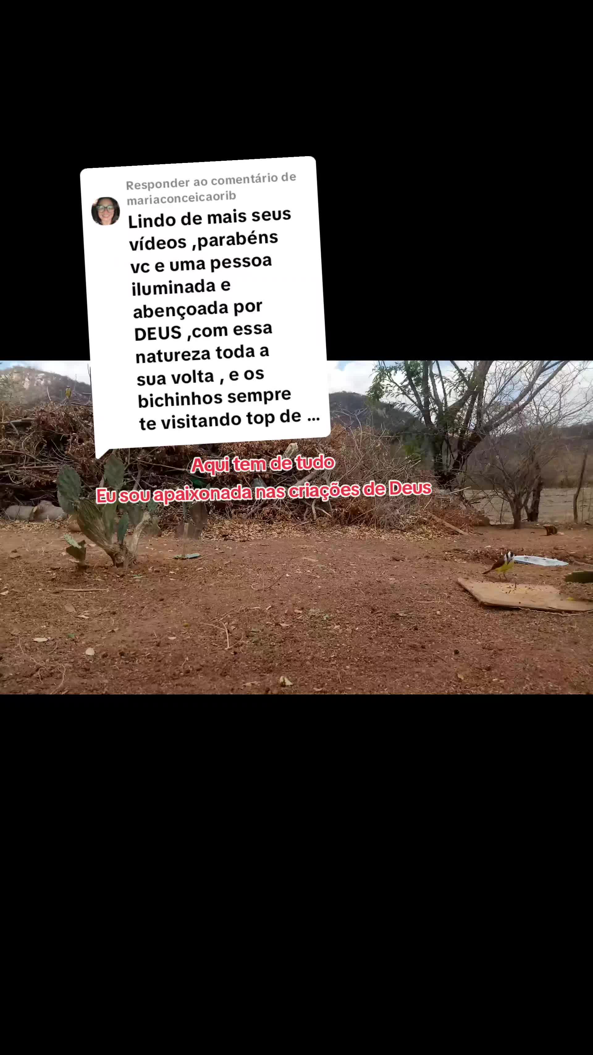 @Amante da natureza