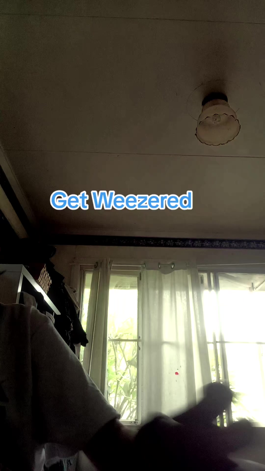 @▼・ᴥ・▼