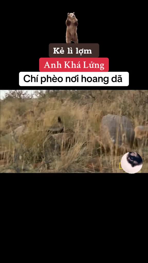 @THẾ GIỚI ĐỘNG VẬT 💧