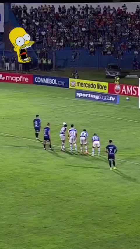 @Avishitotorres🎉🎊🤣