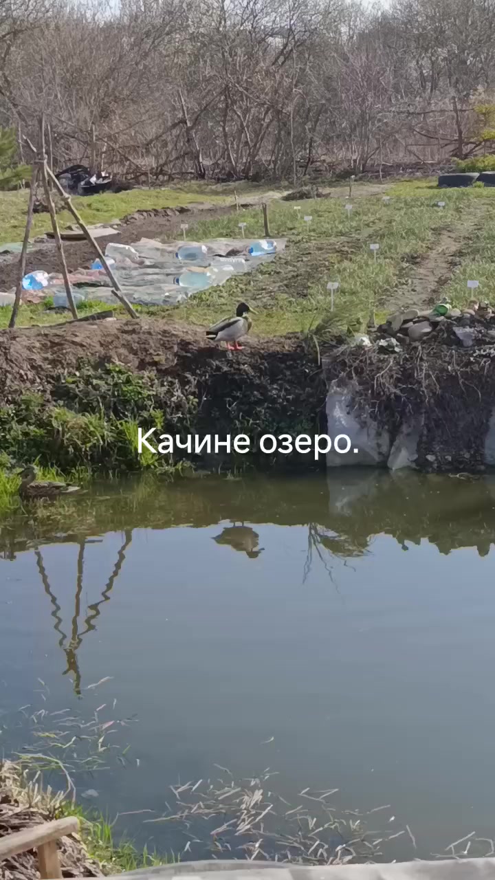 @Олег