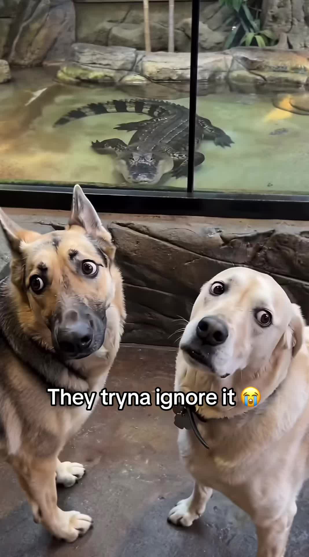 @Tim