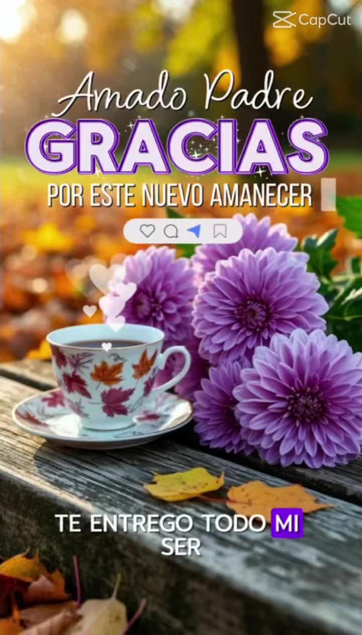 @Mariposa Carmen