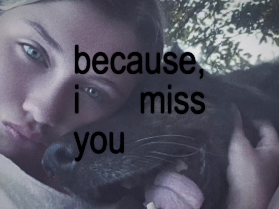 @amelia rae