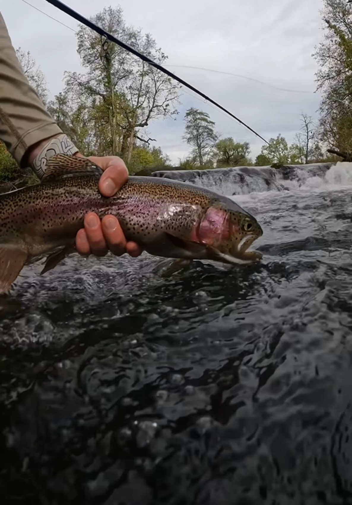 @FlyFishDelawhere