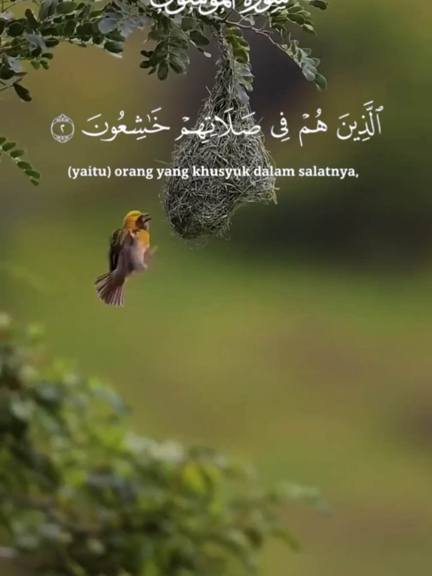 @Tulisan Cantik