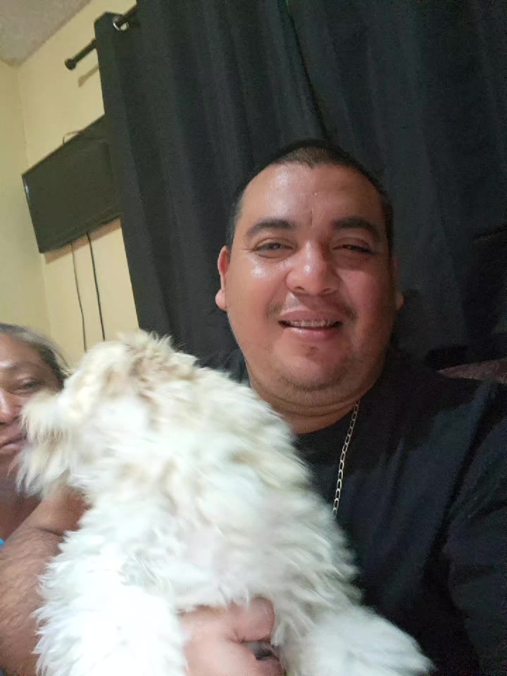 @ulises gil