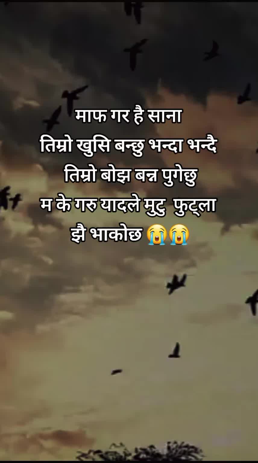 @सायरा 💕 धनु