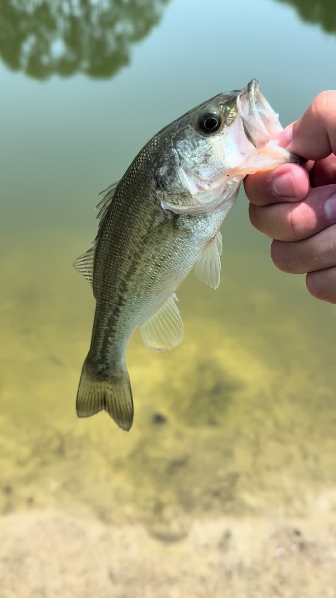 @East-Coast-Fishing