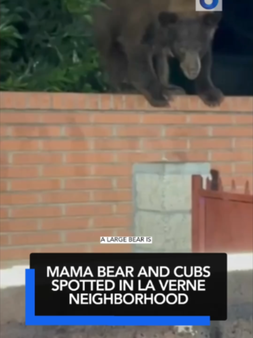 @KTLA 5 News