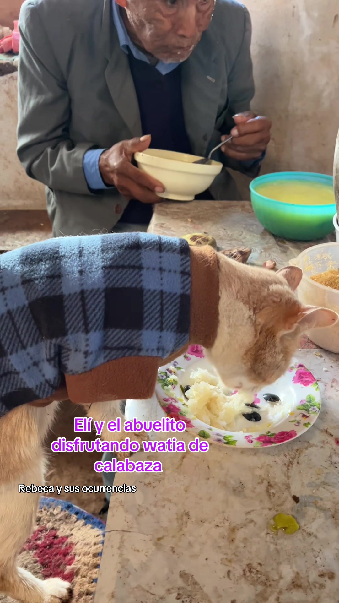 @🐈Rebeca y sus ocurrencias