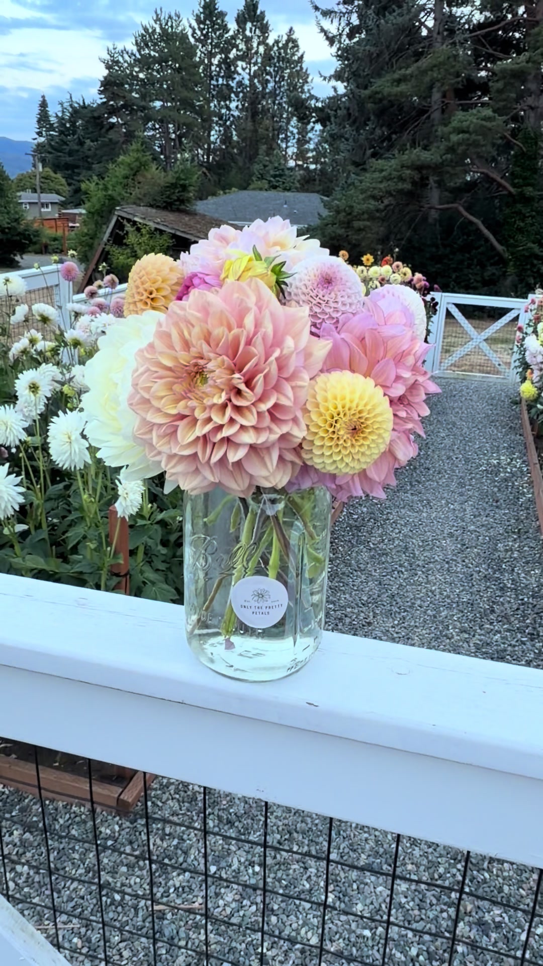 @Only The Pretty Petals