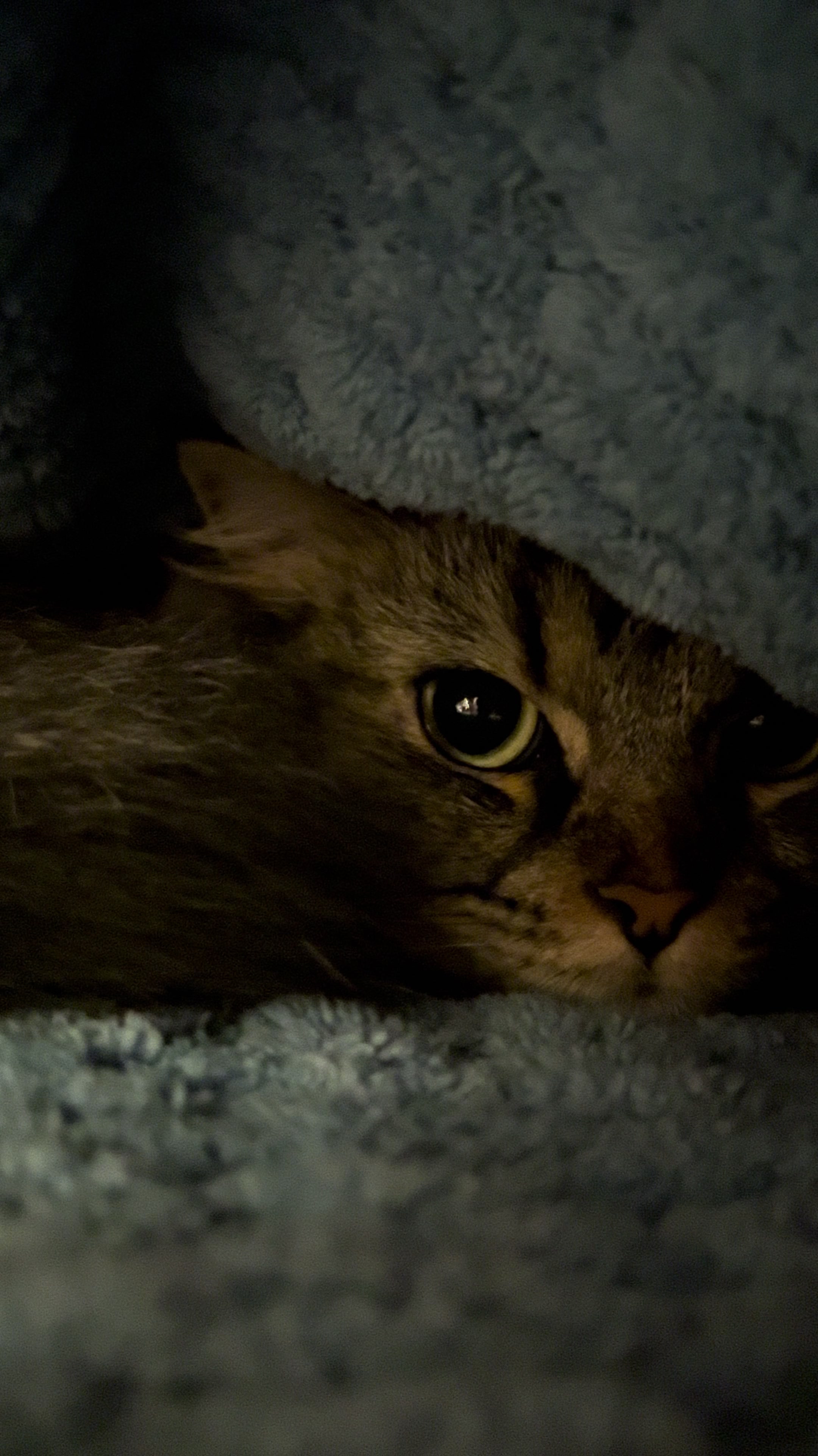 @hand_made_with_love_D