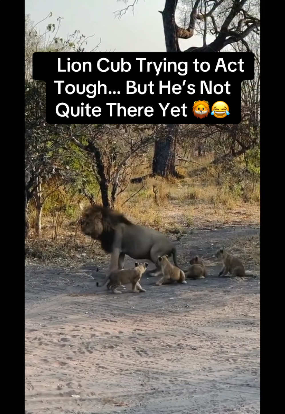 @KJ@LoveAnimalsEpicNature