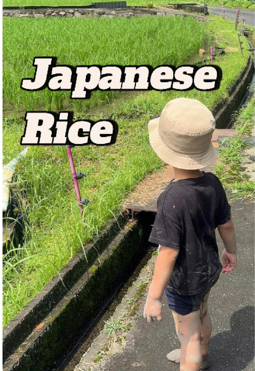 @hiddentrailsjapan
