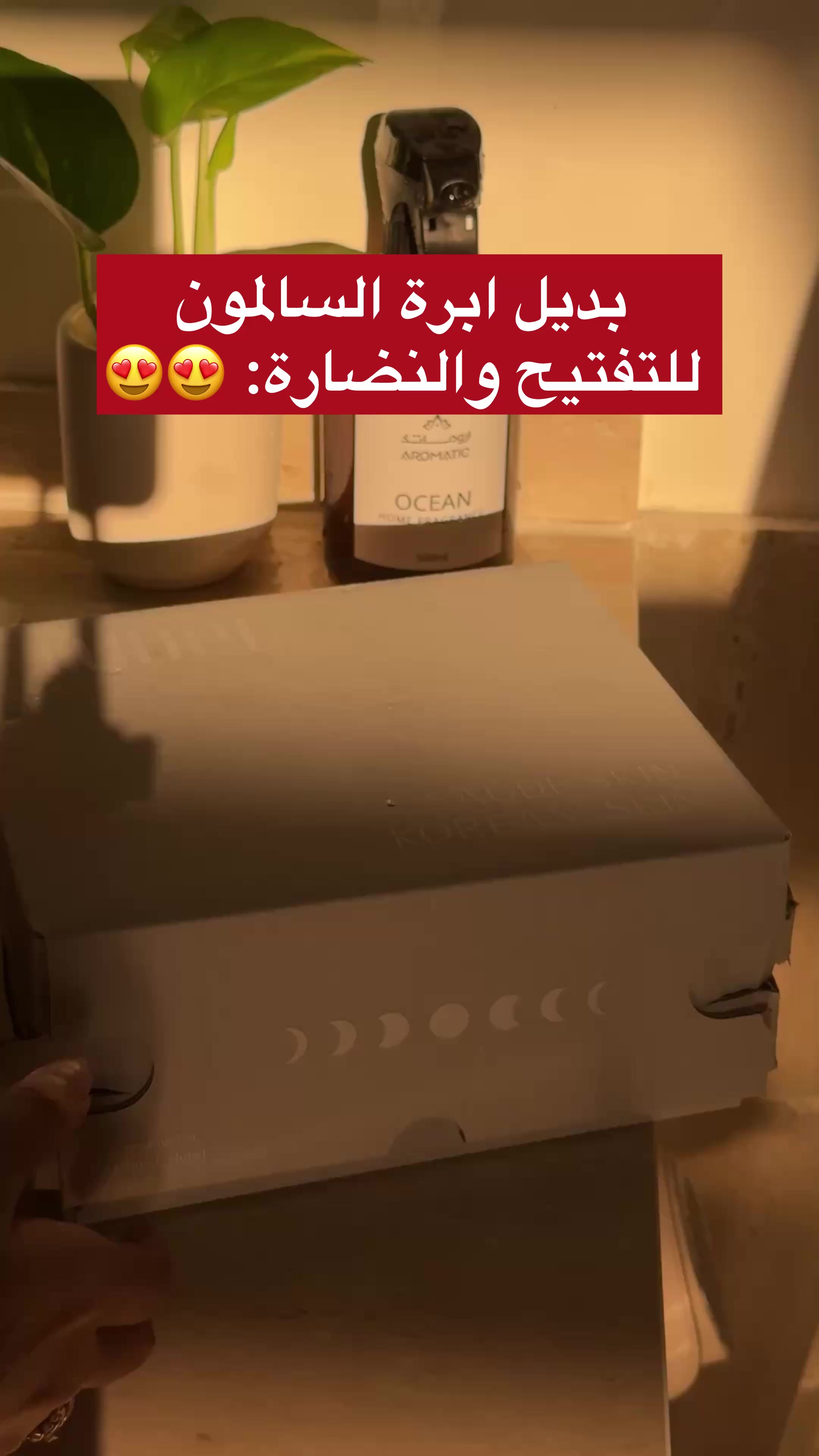 @࣪ 𝓢𝓪𝓱𝓪𝓻 🎀