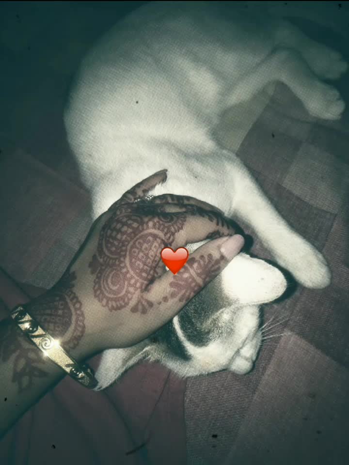 @His pakhiđī¸â¤ī¸đŠš