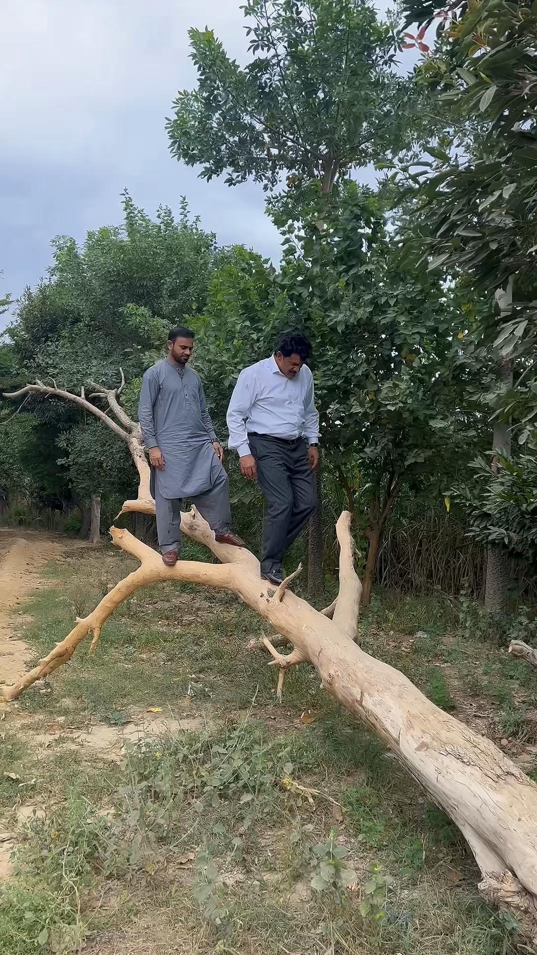 @TariqBara1212