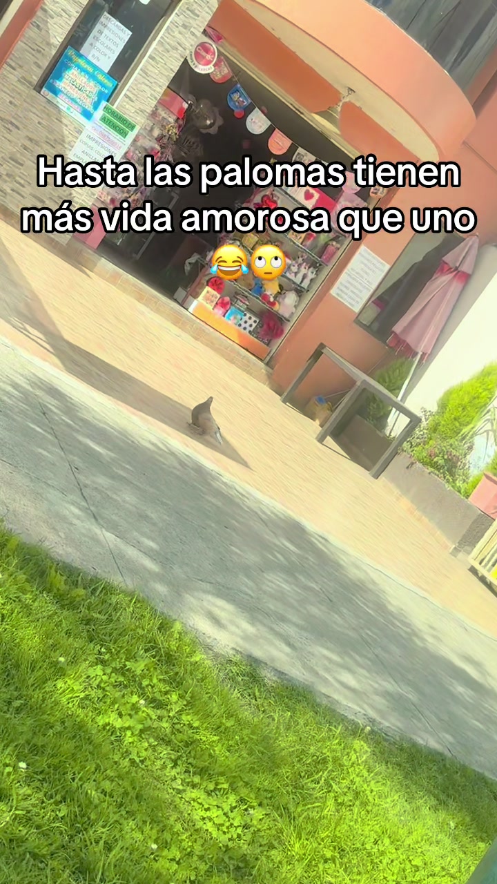 @Evelyn Hernandez