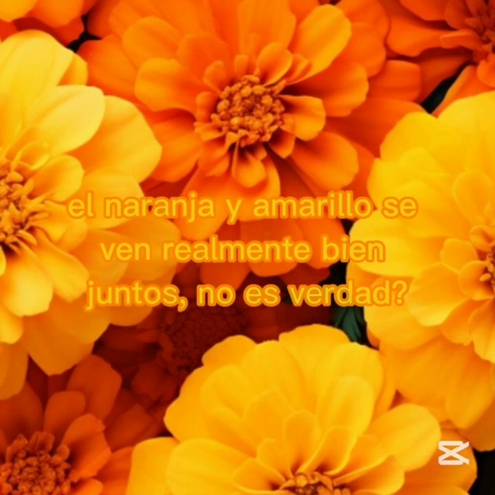 @__fan_de_los_compas_