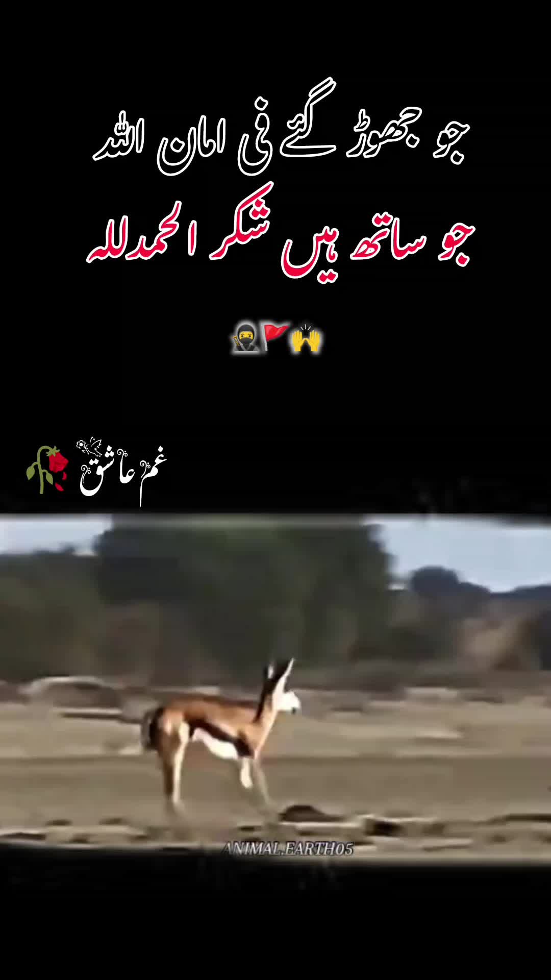 @𝙂𝙝𝙖𝙢 𝙀 𝘼𝙨𝙝𝙞𝙦
