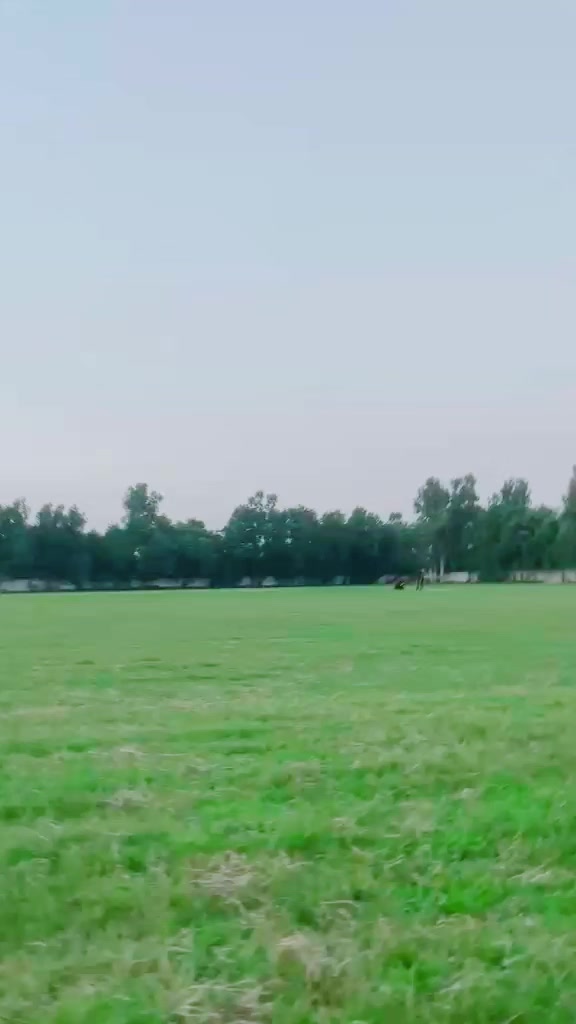 @03130519250