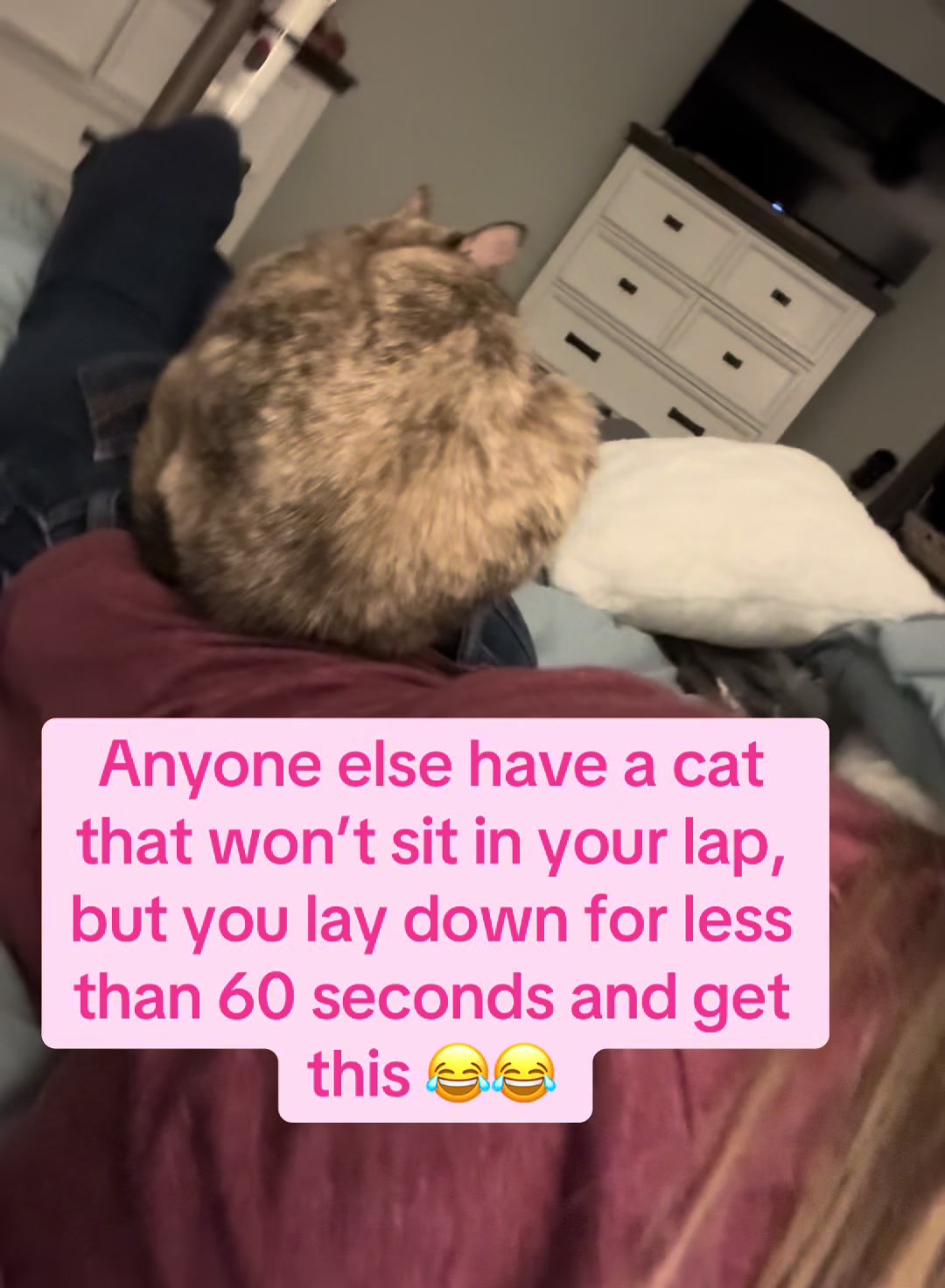 @country.mom.adventures