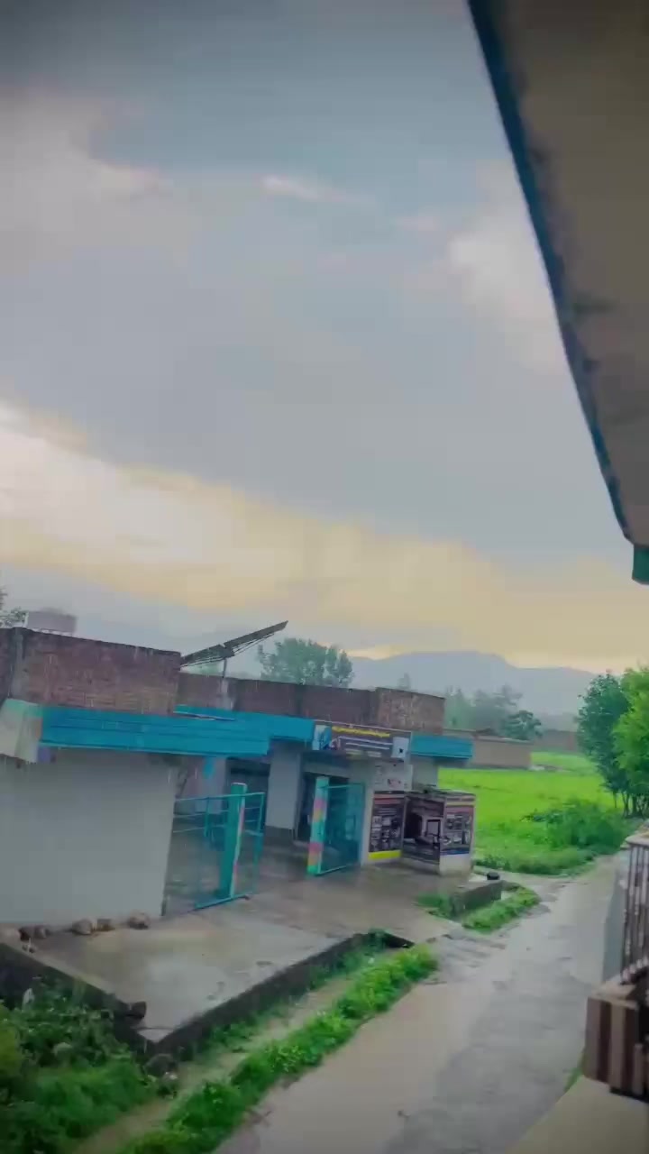 @Sajjad Afridi 🕊️