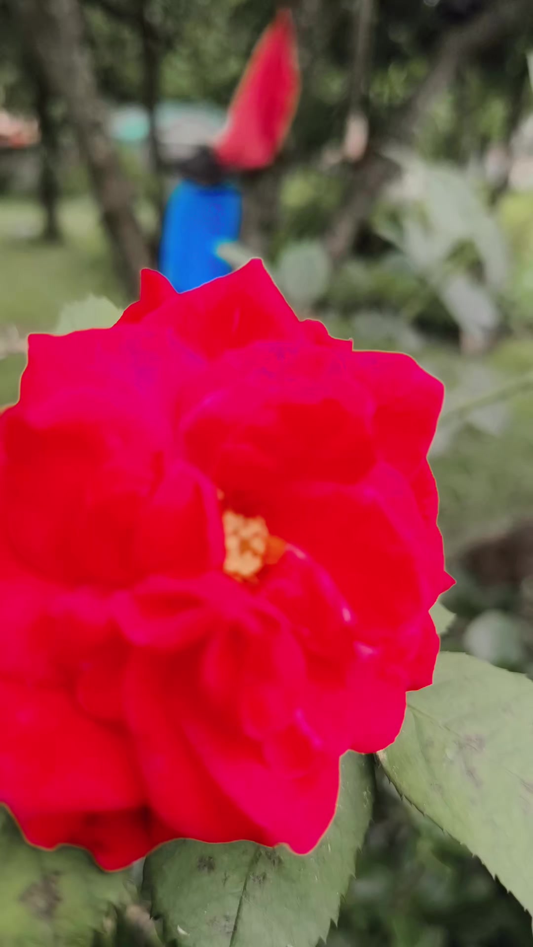 @Grishma pdl &hearts;️🙏🌹