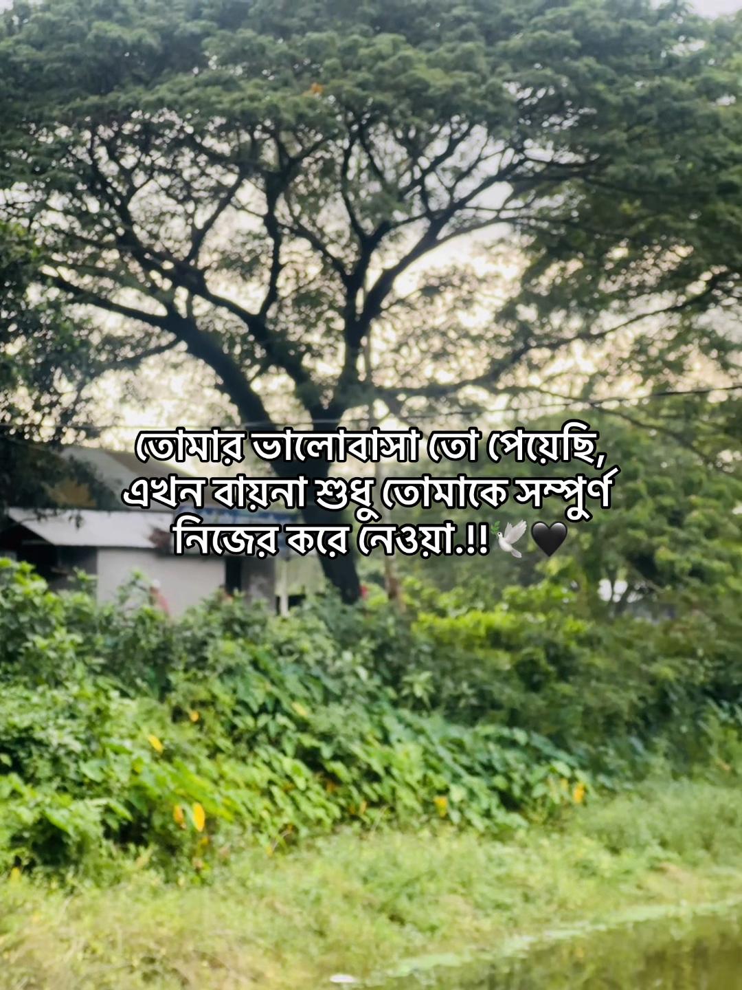@𝗔𝘇𝗶𝘇𝘂𝗹_🧃🌷