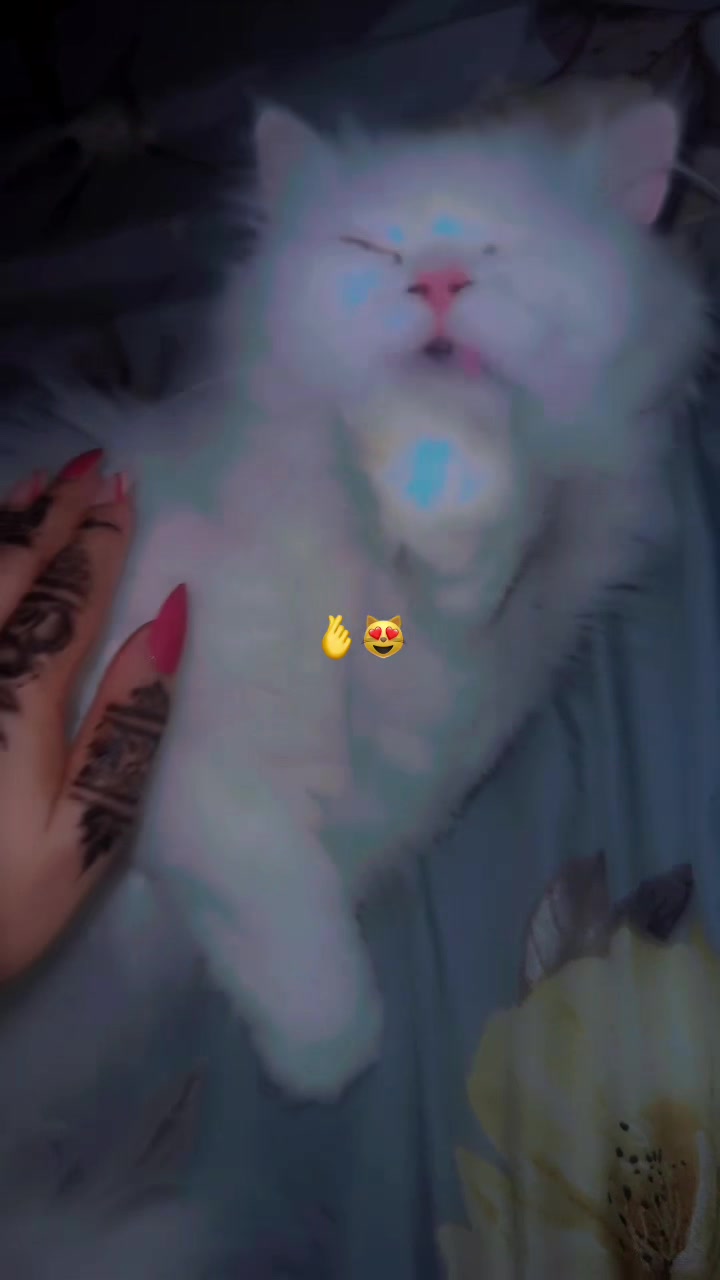 @نقش خضاب يمني وحناء /ام سعود